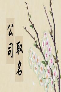 2024龙年建材公司如何取名有牌面