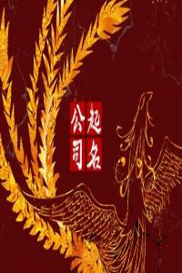 高端有格调的摄影公司名字合集