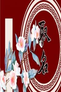2024甲辰年的男宝宝姓穆