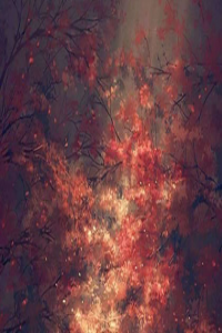 贪狼星和紫微星结婚会幸福吗