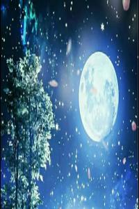 流年神煞天医是什么意思