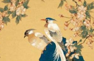 贪狼星入命宫代表什么