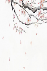 八字算姻缘：丙辰男丁巳女相配吗