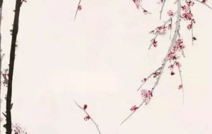 胎元命宫都是松柏木好不好