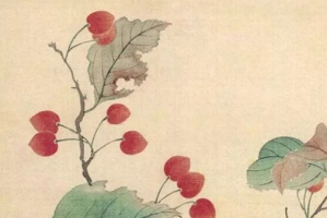 2024年松柏木命财运好吗 松柏木命干什么生意发财