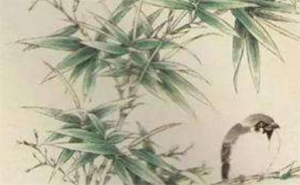 2024年石榴木命财运好吗 石榴木命干什么生意发财