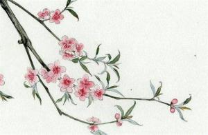 壬辰日柱女命的人一生运程精批