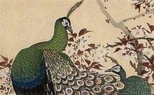 八字断动婚 癸卯年容易动婚的八字是什么