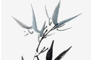 卜算子算命网