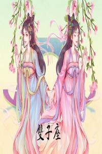 双子座2024年运势详解完整版