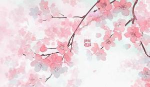 卜算子算命网