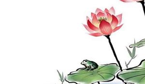 卜算子算命网