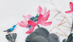 卜算子算命网