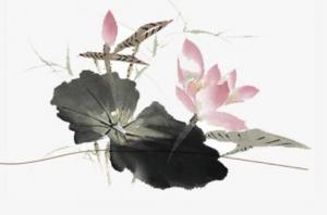 卜算子算命网