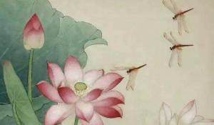卜算子算命网