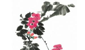 卜算子算命网
