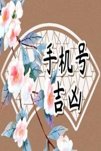 数字能量:破财、含有官非,是非的手机号码中的数字有哪些?
