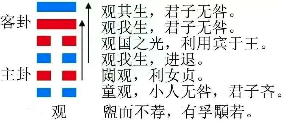 2023年10月8日十二生肖运势揭秘来啦