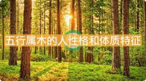 五行属木的人性格和体质特征有哪些