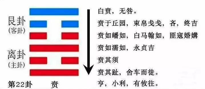 2023年10月22日十二生肖运势揭秘来啦
