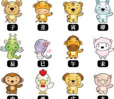 2023年10月30日属什么生肖 今日冲什么生肖 相刑 相合