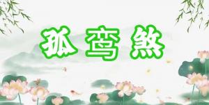 八字神煞之-孤鸾煞,孤鸾煞的含义