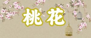 八字神煞之-桃花,桃花的含义