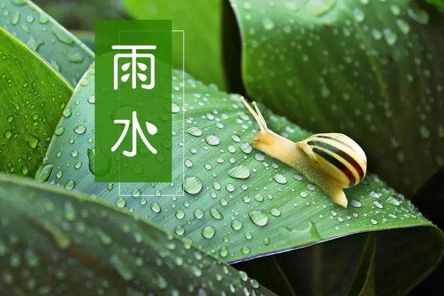 2024雨水节气是几月几日开始