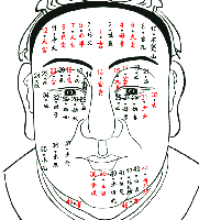 痣相图解大全男脸，男脸部痣图解大全