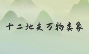类象是什么意思，八卦万物类象详解！