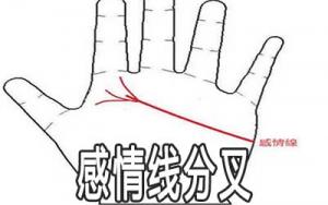 感情线末端分叉是什么意思