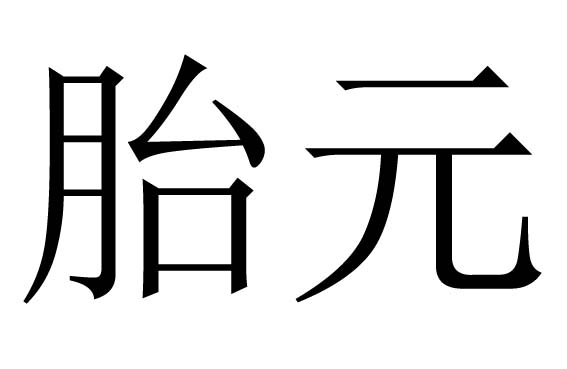 胎元命宫对八字的作用