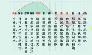 十二长生对照表，十二长生的用法与详解！
