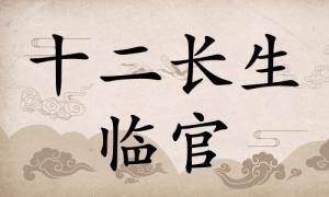 临官在八字里面代表什么，临官在八字中代表什么意思？