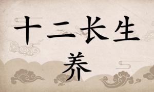 养在八字里面代表什么，养在八字中代表什么意思？