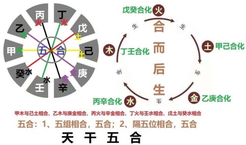 天干地支的相互作用