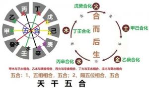 天干地支的相互作用