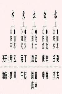 十二地支的阴阳属性