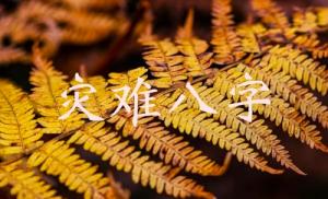 命局里易出现灾难的八字