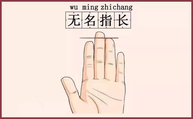 无名指比食指长的男人命运如何