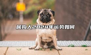 属狗人2024年全年运势运程，属狗人2024年每月运势及运程详解！