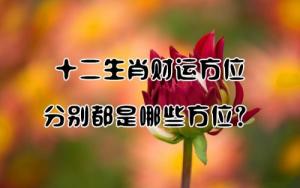 十二生肖财位对照表
