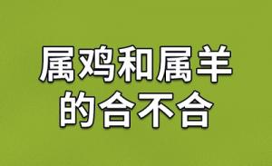 属鸡人和属羊人婚配好不好