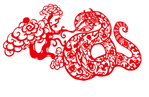 2013属什么生肖 今年多大了