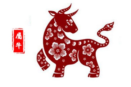 1973年属什么生肖 今年多大了