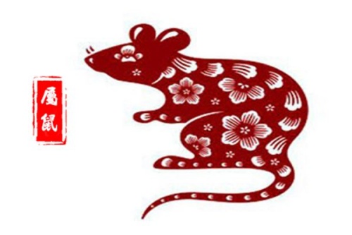 1972年属什么生肖 今年多大了
