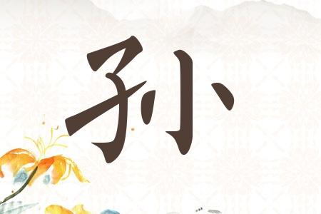 孙姓龙宝宝取名字大全
