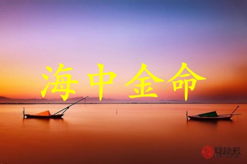 海中金命人适合什么行业最旺财
