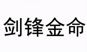 剑锋金命是哪一年出生的