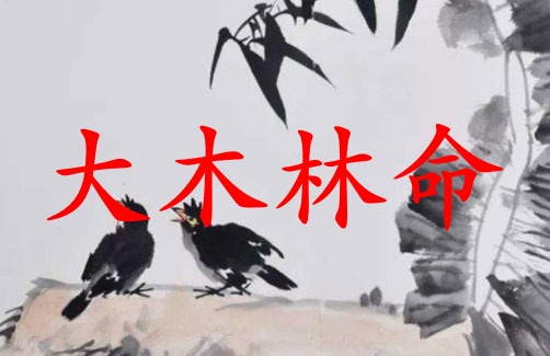 大木林命的男人的婚姻